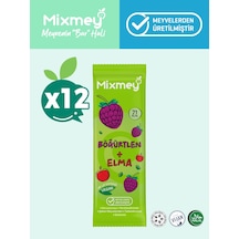 Mixmey Böğürtlen Meyve Barı 12 Adet | Atıştırmalıklar – Vegan, Glutensiz, Koruyucusuz 20g X 12adet