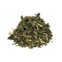 Isırgan Yaprağı 30 G