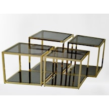 Zigon Ogem 102 Ve Orta Sehpa Kare Takım Metal Transmisyon Gold K