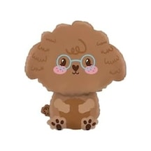 Poodle Köpek 8767 256