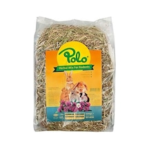 Herbal Mix Kemirgen Otu 1 Kg