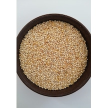 Muhabbet Kuşu Ak Darı - Hint Bülbülü Yemi 10 KG