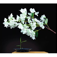 Rüzgar Yapay Çiçekçilik Beyaz Begonvil 85 Cm Beyaz