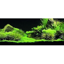 Kanki Pet Kp1556535 Akvaryum Arka Fon Yapıştırma 155 X 65 Cm