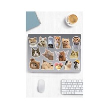 Kedi Temalı Sticker Seti - Laptop, Defter Ve Tablet İçin Uygun Abanoz
