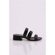 Siyah