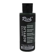 Rich Akrilik Boya Master 120 Cc Amazon 205 Çok Renkli