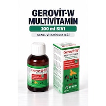 Gerovit-w Multivitamin 100 Ml