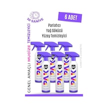 Pakyağ Sökücü Yüzey Temizleyici Parlatıcı Loretta 10'lu Set