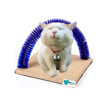 Bypet Fırçalı Kedi Kaşınma Sürtünme Ve Masaj Tahtası Mavi