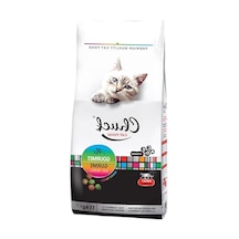 15 Kg Ağırlığında Yetişkin Kuru Mama, Kedi Gourmet 100 G