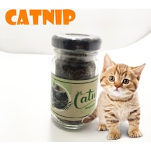 Catnip Doğal Kedi Otu - Kedi Nanesi