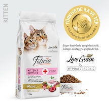 Felicia Kitten & Mother Kuzu Etli Düşük Tahıllı Yavru Kedi Maması 12 KG