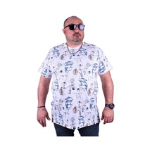 Çok Renkli