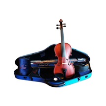 Paganini Avl-235 El Yapımı Fiber Kutulu Profesyonel Keman Seti