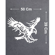 50x39 Cm