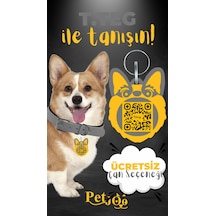 Petjoo 15.T.Teg Sarı-Gri Qr'lı Köpek Künyesi