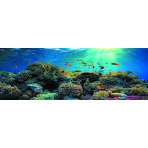 Kanki Pet 185 CM Akvaryum Arka Fon Yapıştırma 185 x 65 CM