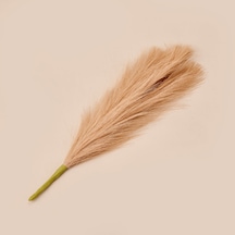 Dekoratif Tüy - Somon - 44 Cm