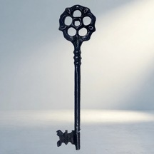 Vintage Çiçekli Dekoratif Anahtar Büyük Boy 220x56 Mm