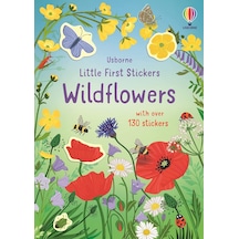 Little First Stickers Wildflowers