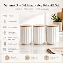 3'lü Seramik Saklama Kabı / Baharatlık Seti Çok Renkli