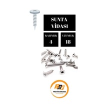 4x18 Sunta Vidası 50 Adet Diğer