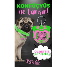 Petjoo 9.Konfüçyüs Pembe-Yeşil Qr'lı Köpek Künyesi