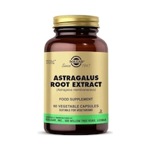 Solgar Astragalus Root Extract 60 Kapsül