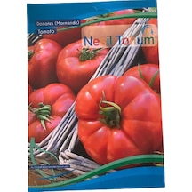 Domates Marmande Atalık Tohum 3 Adet