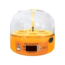 Suntek Mini Yumurta Kuluçka Makinesi Otomatik Dönen Ördek Kuş