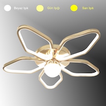 Tt337-fsr Tt Ayd. 3 Renk Modüllü Toplu Fransız Sarı Led Avize Rosegold