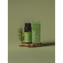 Oilwise Akne Ve Kepek Karşıtı Biberiye Uçucu Yağı 10 Ml