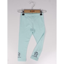 Mint Yeşili
