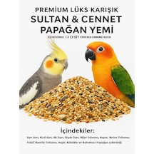 Nfs Agro Lüks Premium Sultan Ve Cennet Papağan Yemi 1 KG