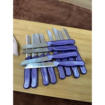 Kapris 12 Adet Meyve Bıçağı Seti Alman Model Mor Slr01 Mor