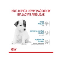 Bebek Köpek Sütü, 400 Gr, Büyüme Desteği 100 G