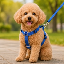 Gezdirme Kayışlı Dokuma Köpek Göğüs Tasma Seti 32 47-110 Cm Mi Diğer