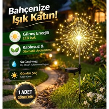 Diğer
