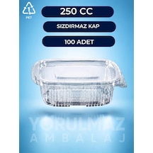 250 Gr Kapaklı Sızdırmaz Kullan-at Plastik Kase Paket Servis & Buzdolabı İçin 100 ' Lü