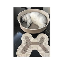 Kaan Home El Dikimi Kullanışlı Ferah Kedi Yatağı