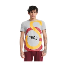Galatasaray Lisanslı Büyük Logolu Gri T-shirt Aslan Ahşap Kutulu 001