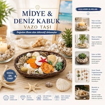 Çok Renkli