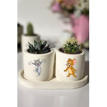 Tom Ve Jerry Baskılı Minimal Sukulent Ya Da Kaktüs Saksı Seti Hediyelik Kalemlik