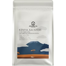 Chemex