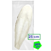 Kalamar Kemiği Dev Boy 25 Cm