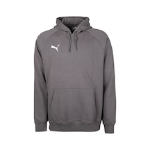 Puma Turkey Hoodie Türkiye Futbol Antrenman Sweatshirt 60546903 Gri 60546903