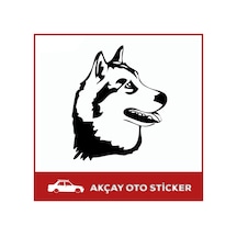 Kurt Sticker Türk Sticker Araba Aksesuar Araç Sticker