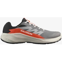 Salomon Alphaglıde Gore-tex Casrlerock Lunar Rock Erkek Koşu/spor Ayakkabısı Gri