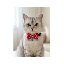 Papyonlu Kedi Boyun Tasması Ayarlanabilir Papyon Fiyonk Zilli Kırmızı